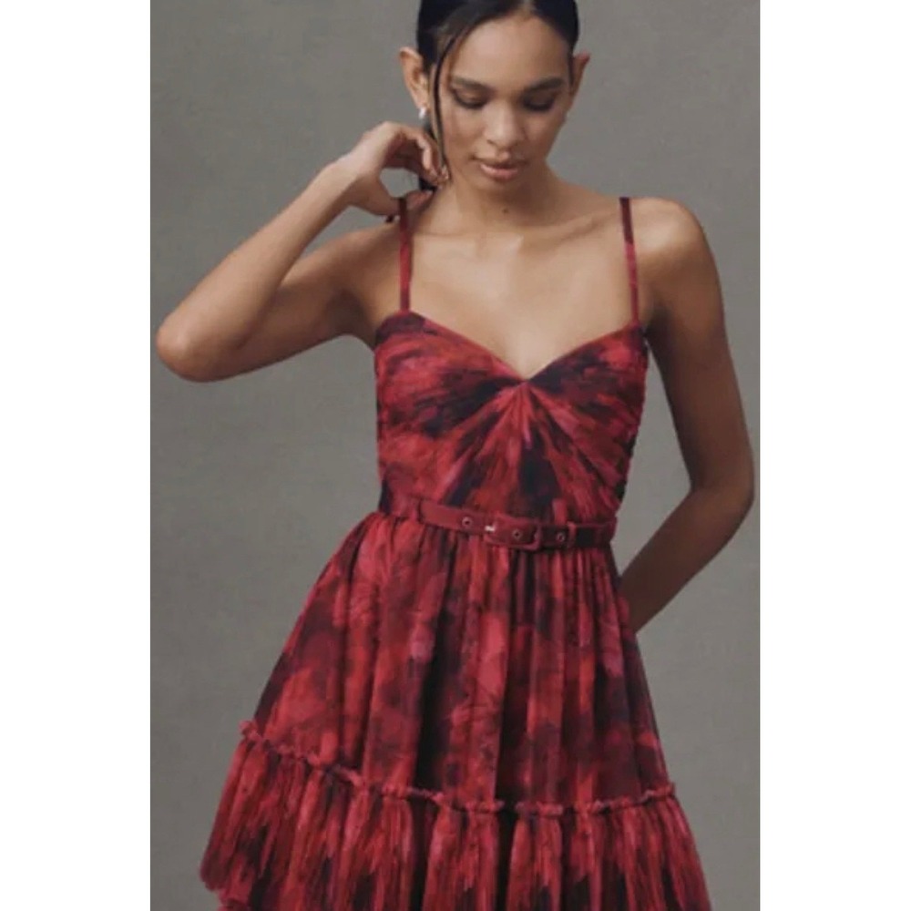 Hutch Madelina Pleated Tulle Tiered Maxi Dress Size 6 $398 NWT - Picture 3 of 10